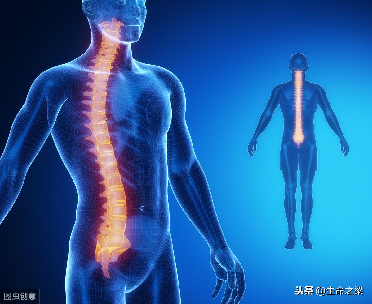 脊柱问题能引发几十种疾病，还不好好保护你的脊柱吗？