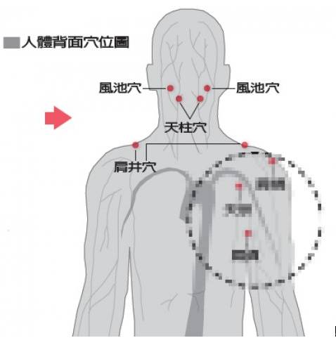 颈肩疏通的六大好处！颈肩上有哪些穴位？